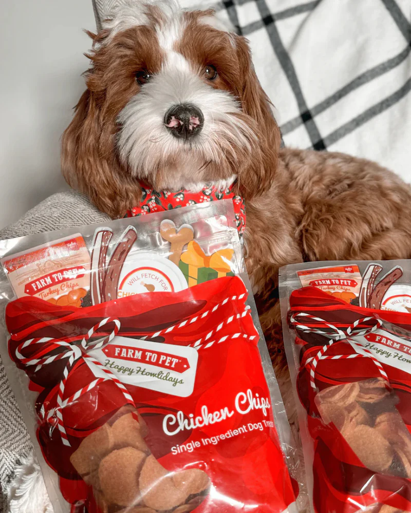 Holiday Chicken Chips (Big Bag) - Image 2