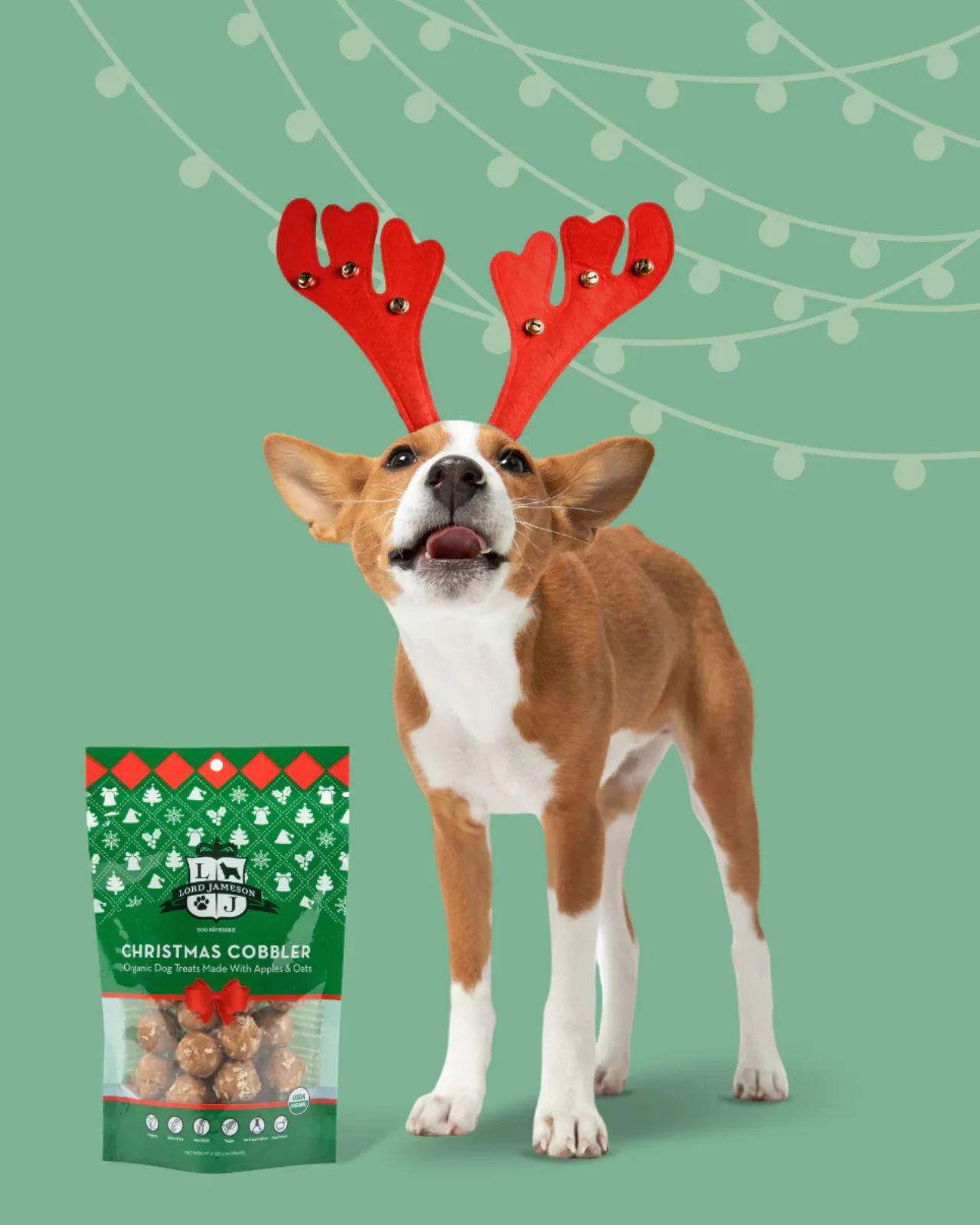 Holiday Christmas Cobbler Organic Dog Treat - Image 4