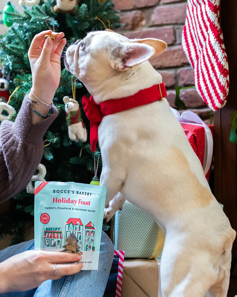 Holiday Feast Soft & Chewy Dog Treats - Image 3