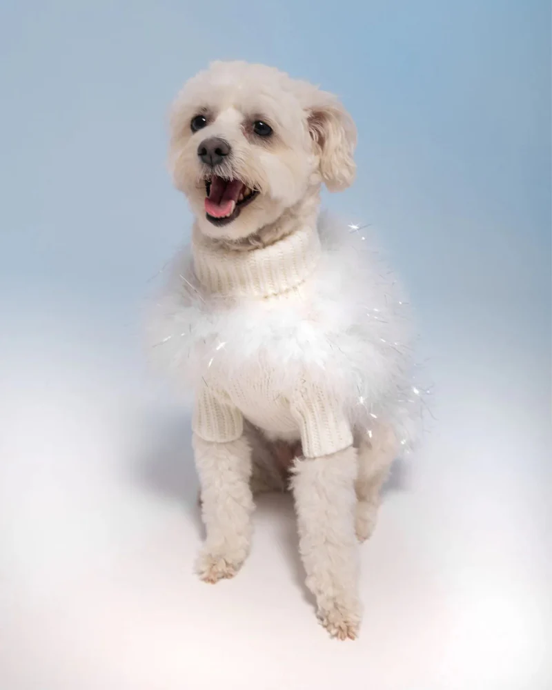 Angel Glitz Dog Jumper in Snow White (FINAL SALE)