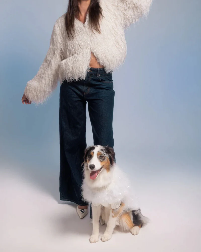 Angel Glitz Dog Jumper in Snow White (FINAL SALE) - Image 5