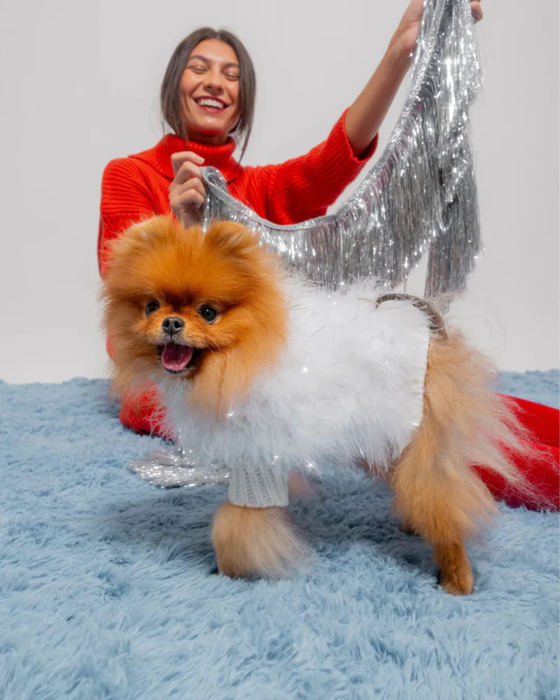 Angel Glitz Dog Jumper in Snow White (FINAL SALE) - Image 7