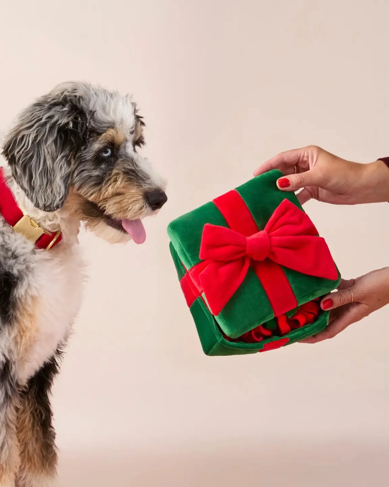 Holiday Present Interactive Snuffle Dog Toy - Image 7