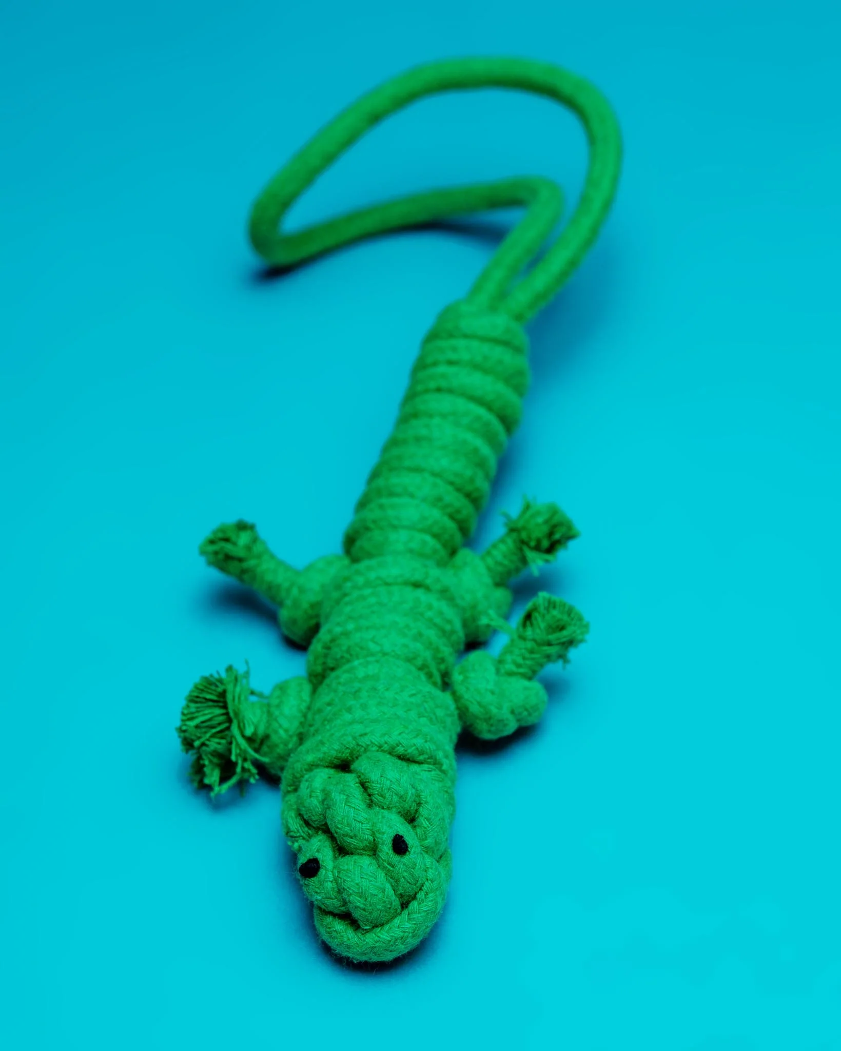 Eco-Friendly Green Lizard Dog Rope Toy - Image 2