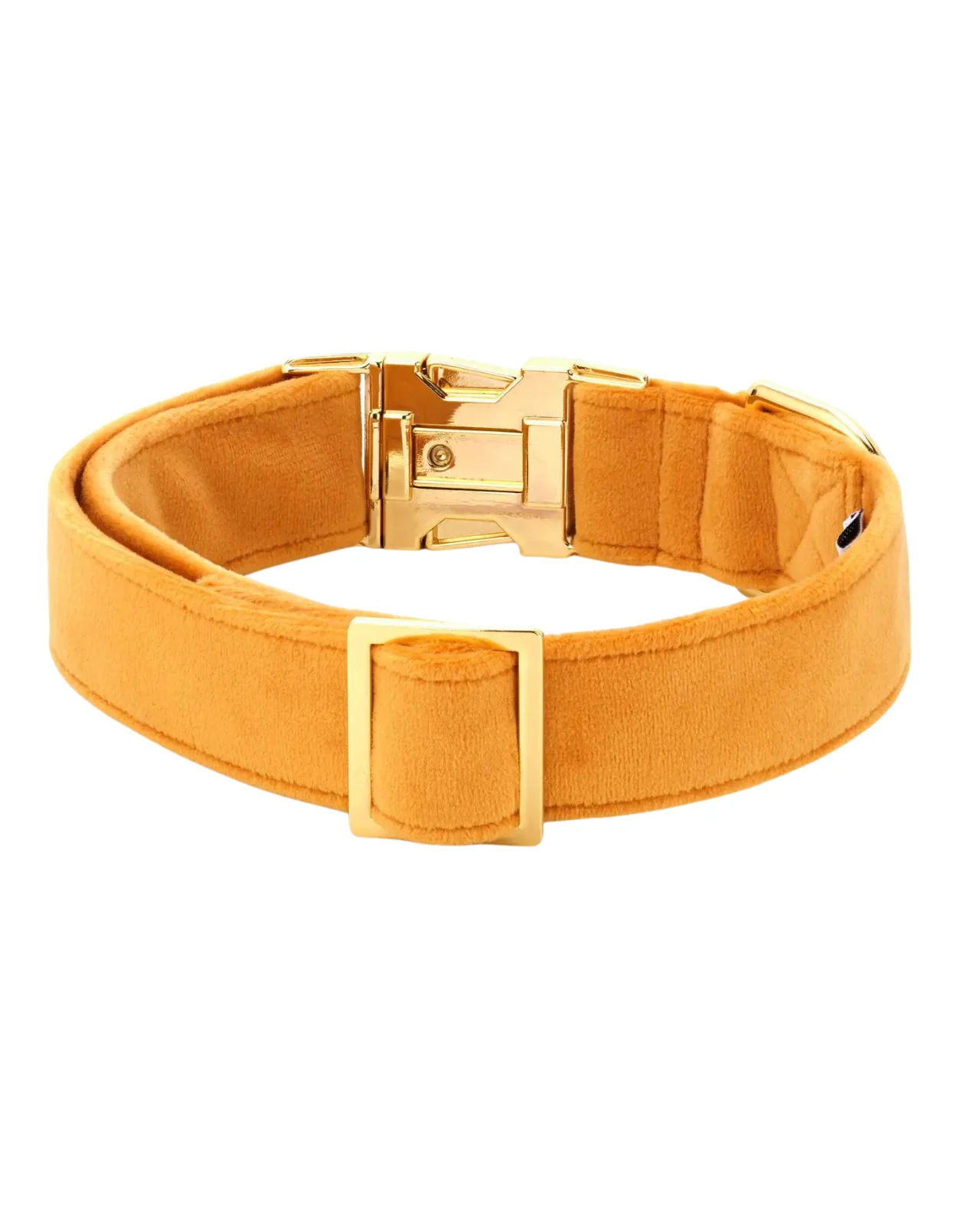 Honey Velvet Dog Collar (Made in the USA) (FINAL SALE) - Image 3