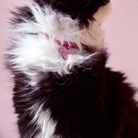 HOUSE OF WONDERLAND | Feminist Pet Charm - Image 3