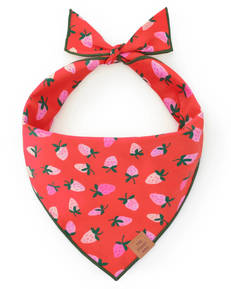 Berry Sweet Dog Bandana (Made in the USA) - Image 3