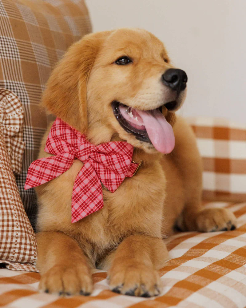 HTH X TFD Katherine Plaid Lady Dog (FINAL SALE) - Image 2