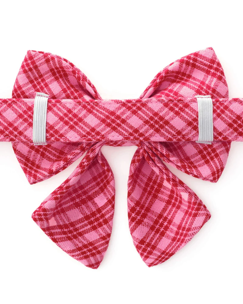 HTH X TFD Katherine Plaid Lady Dog (FINAL SALE) - Image 4