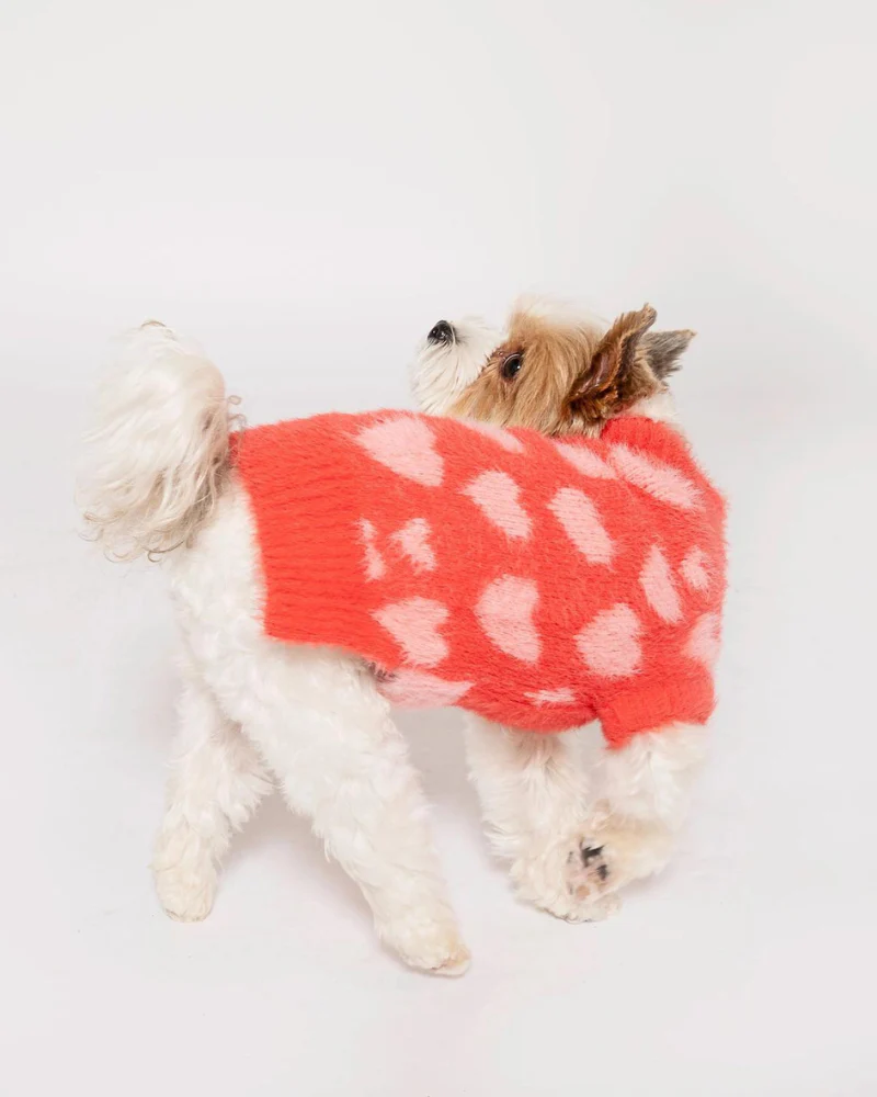 Hug Me Heart Dog Sweater (FINAL SALE) - Image 7