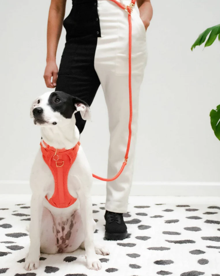 Huggie Dog Harness in Spice<br>(FINAL SALE) - Image 2