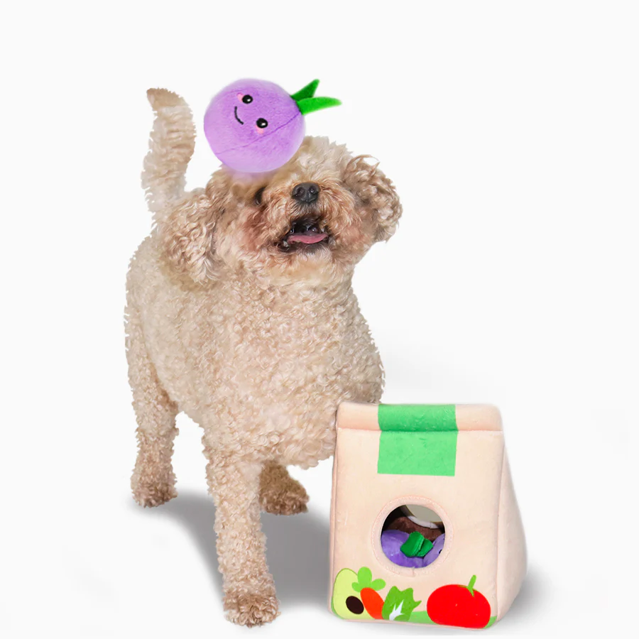 Going to Market Grocery Bag Interactive Dog Toy - Image 5