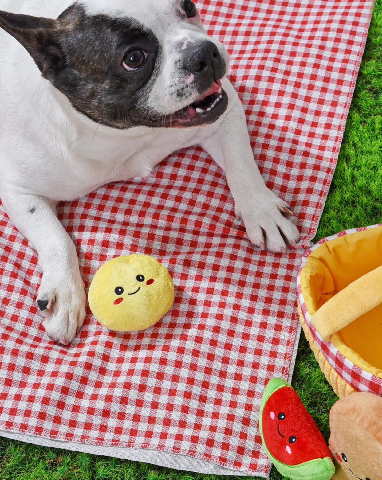 Picnic Basket Interactive Plush Dog Toy Set - Image 5