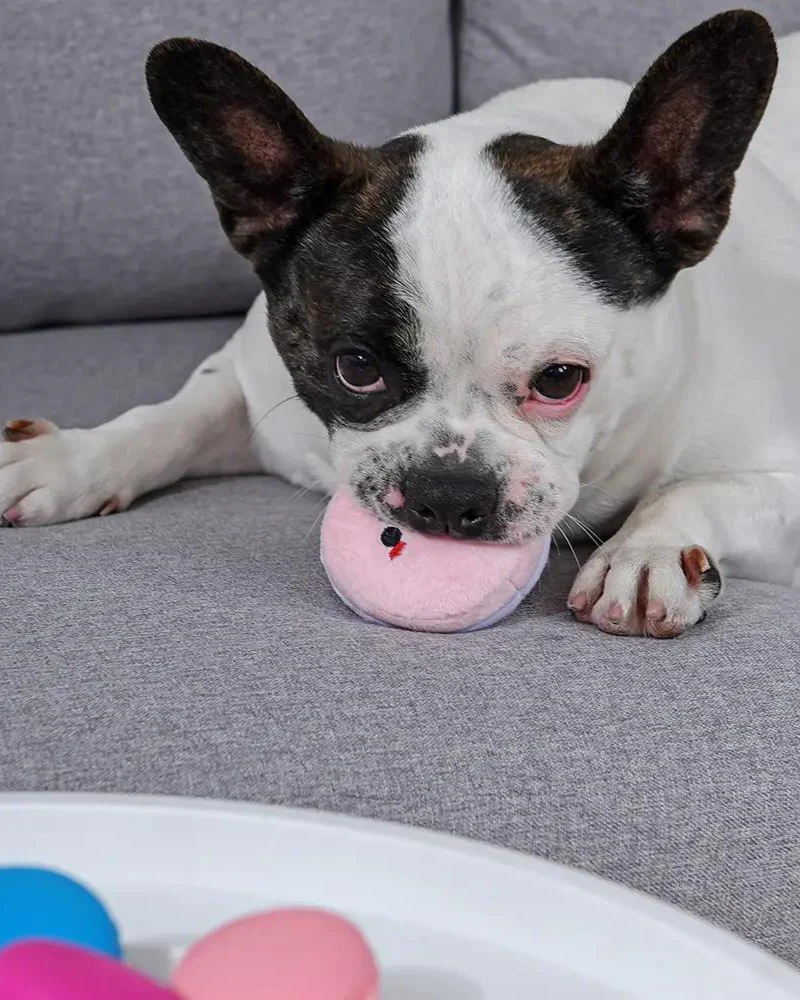 Pooch Macarons Squeaky Plush Dog Toy - Image 6