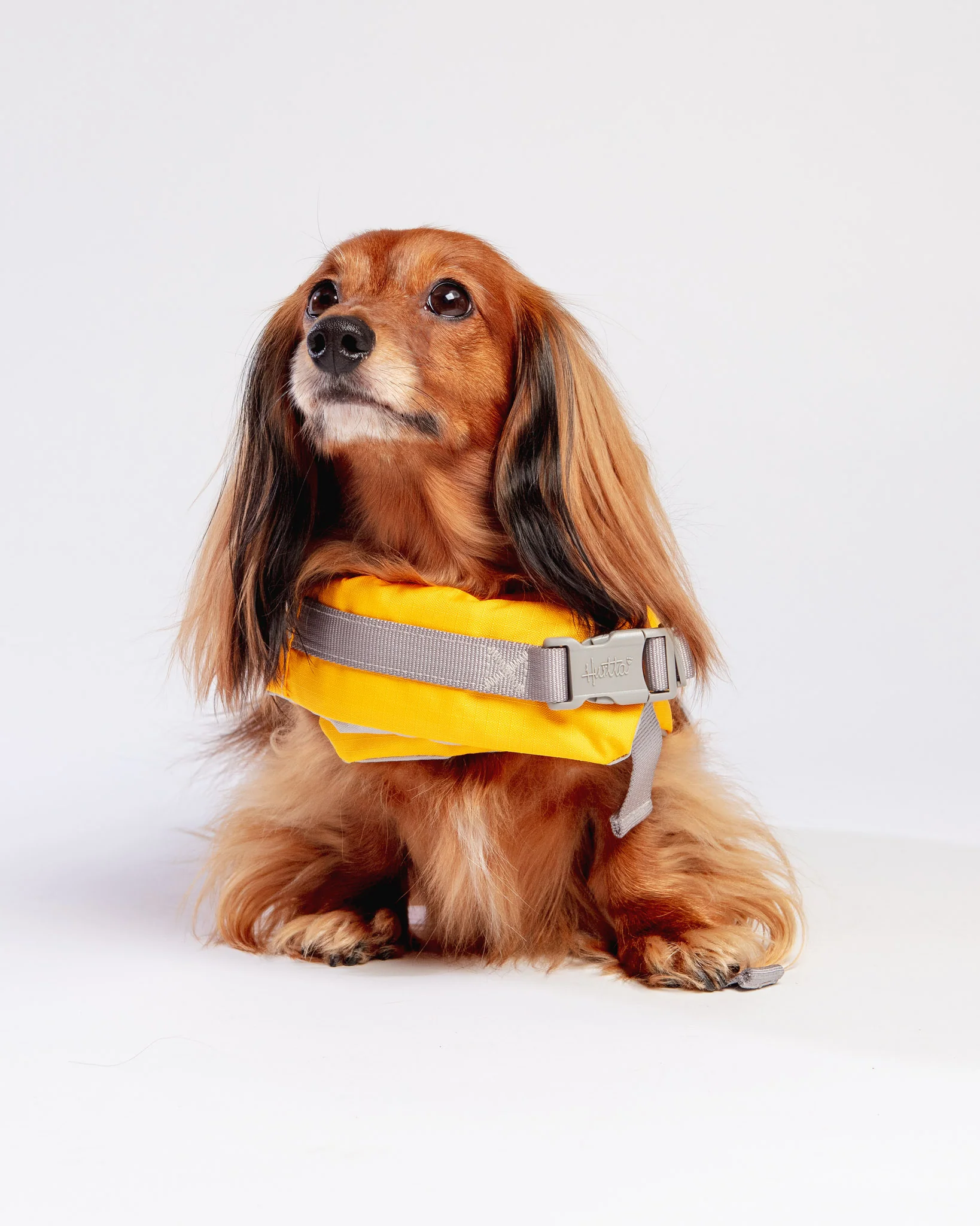 Life Savior Dog Life Jacket in Golden Yellow (FINAL SALE) - Image 4