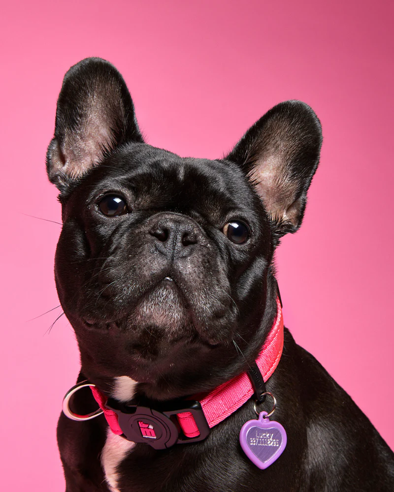 Hushtag Pink Aluminum Heart Custom Pet ID Tag - Image 2