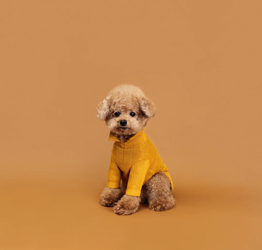 HUTS & BAY | Knit Collar Shirt in Mustard - Image 5