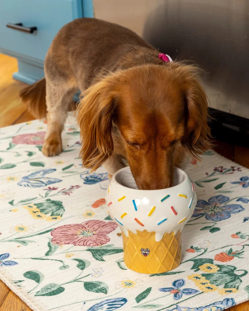 I Scream for Ice Cream Elevated Pet Food Bowl (FINAL SALE)