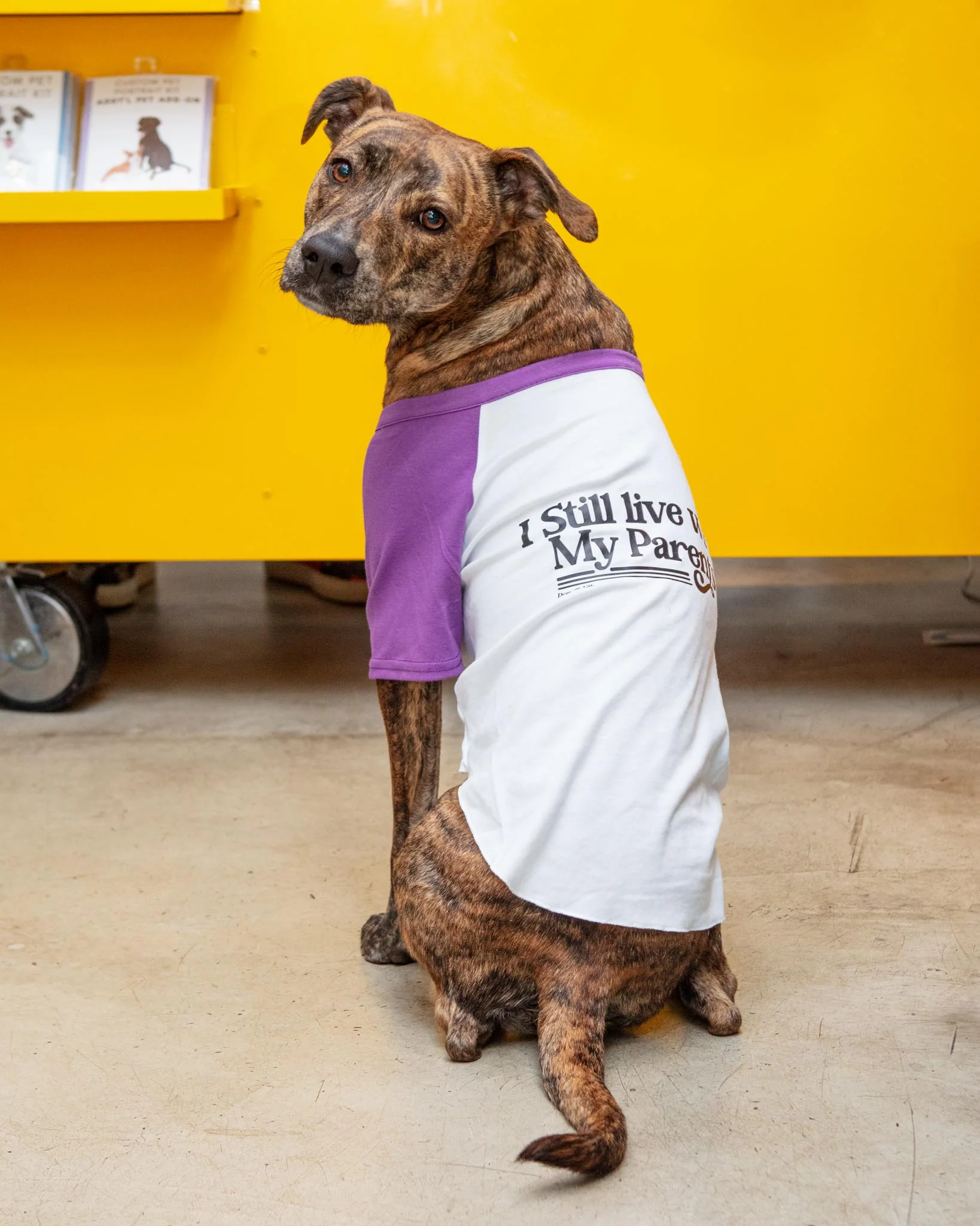 *I Still Live with My Parents* Graphic Dog T-Shirt - Image 2