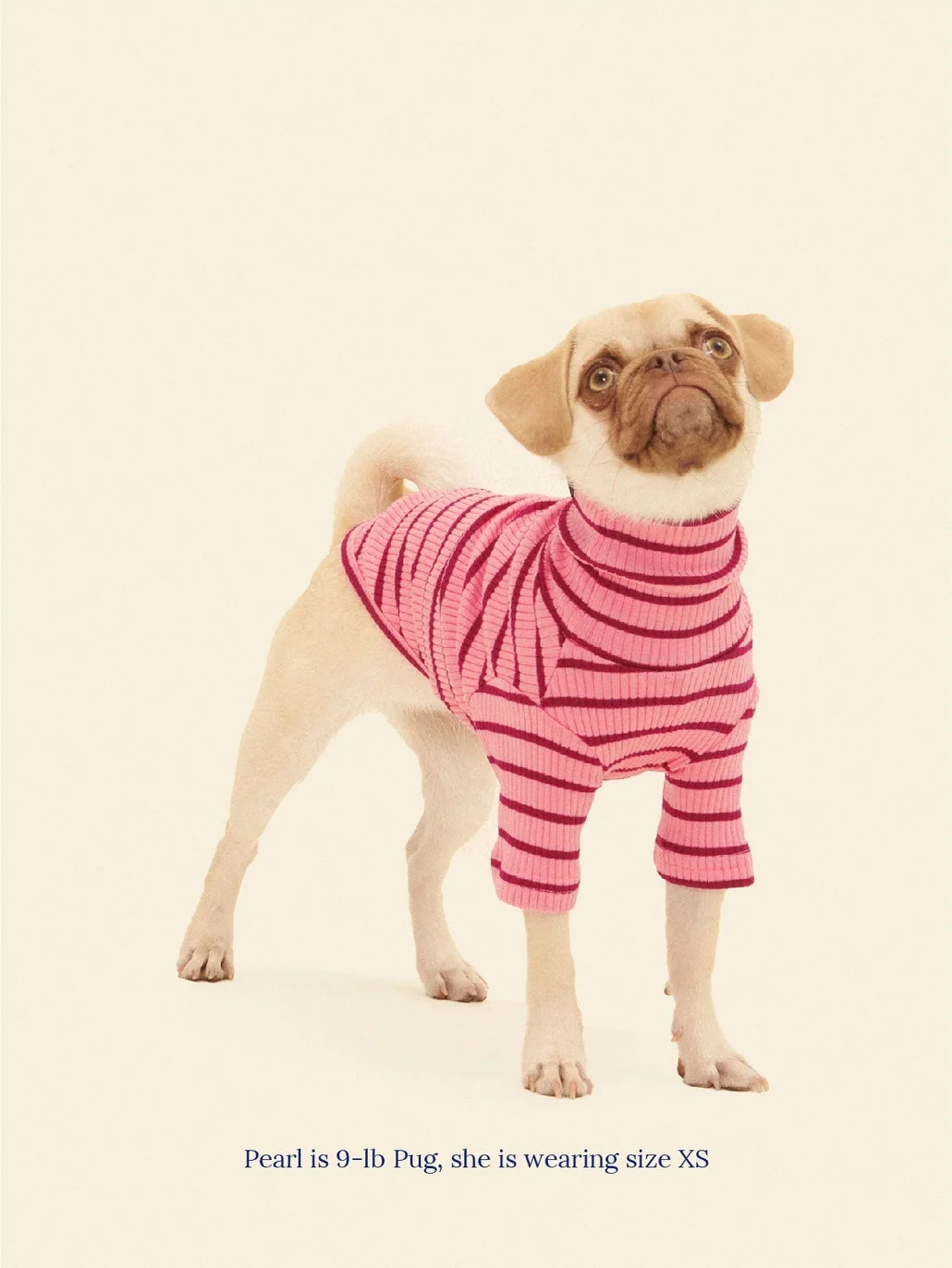 IMU Dog Shirt (FINAL SALE) - Image 2