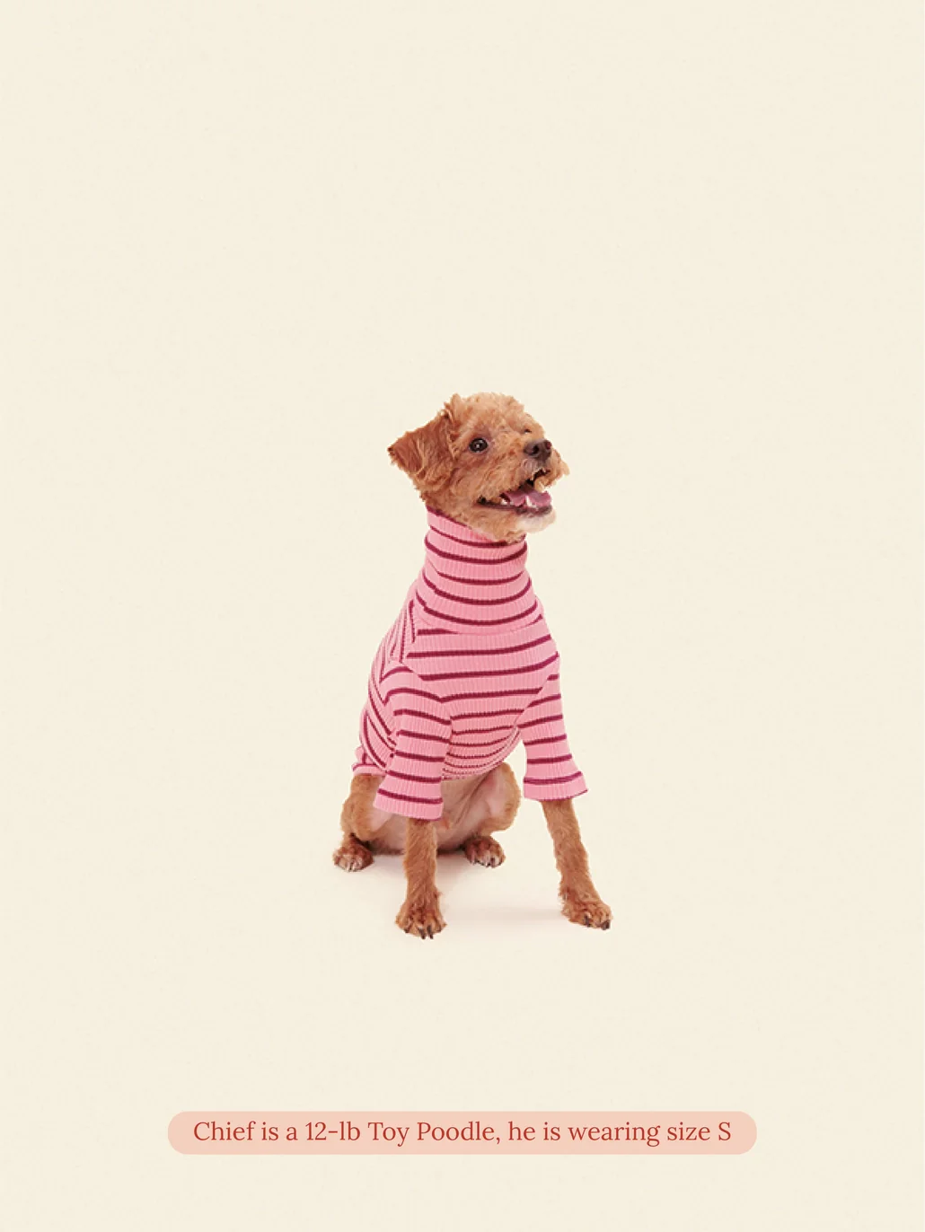 IMU Dog Shirt (FINAL SALE) - Image 3