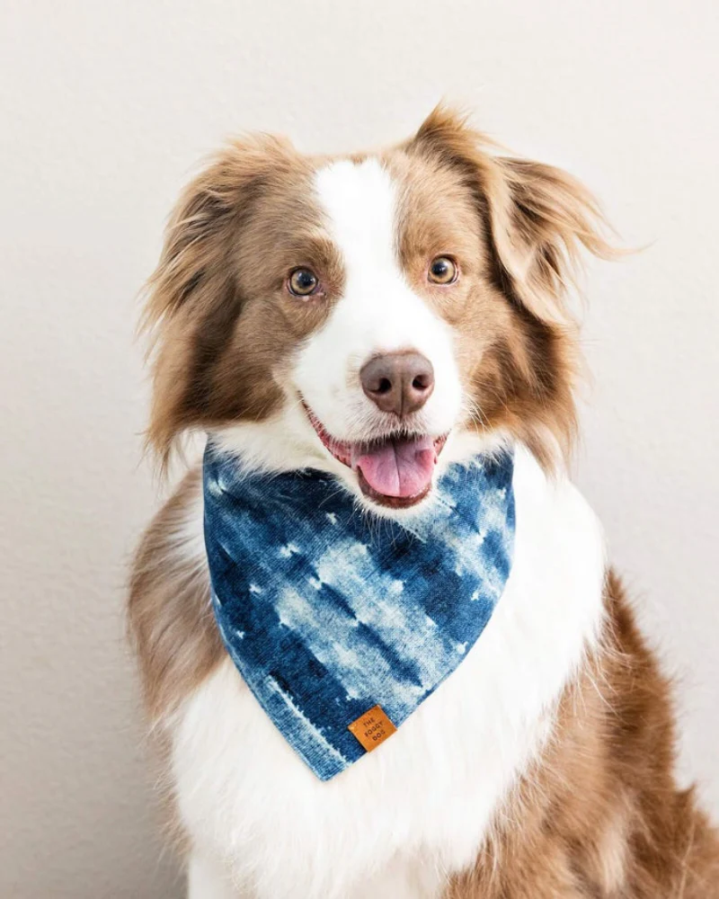 Indigo Mud Cloth Dog Bandana<br>(Made in the USA) - Image 2