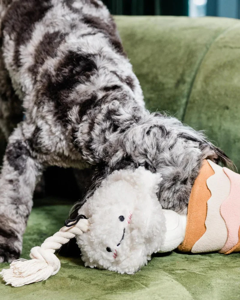 Boba Interactive Snuffle Dog Toy - Image 7