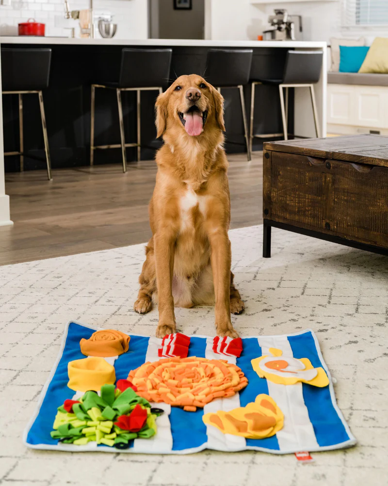 Breakfast Snuffle Mat for Dogs & Cats - Image 5