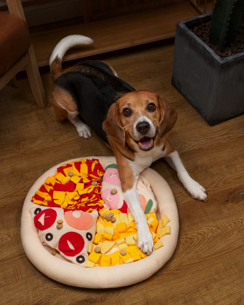 Pizza Snuffle Mat for Dogs & Cats - Image 7