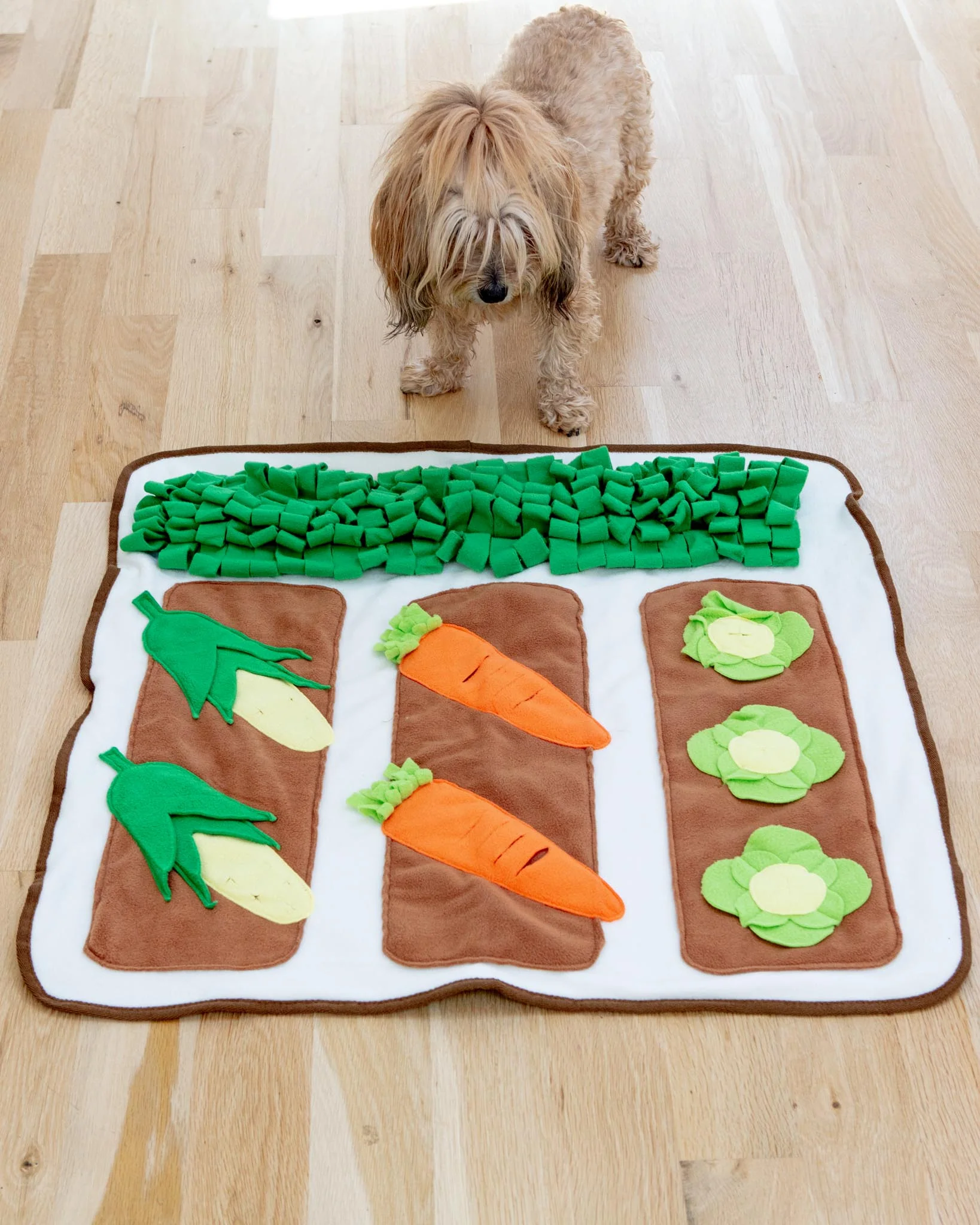 Spring Vegetable Garden Snuffle Dog Mat
