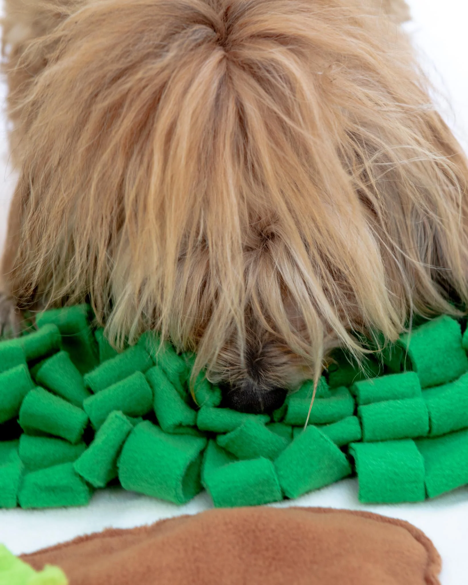 Spring Vegetable Garden Snuffle Dog Mat - Image 2