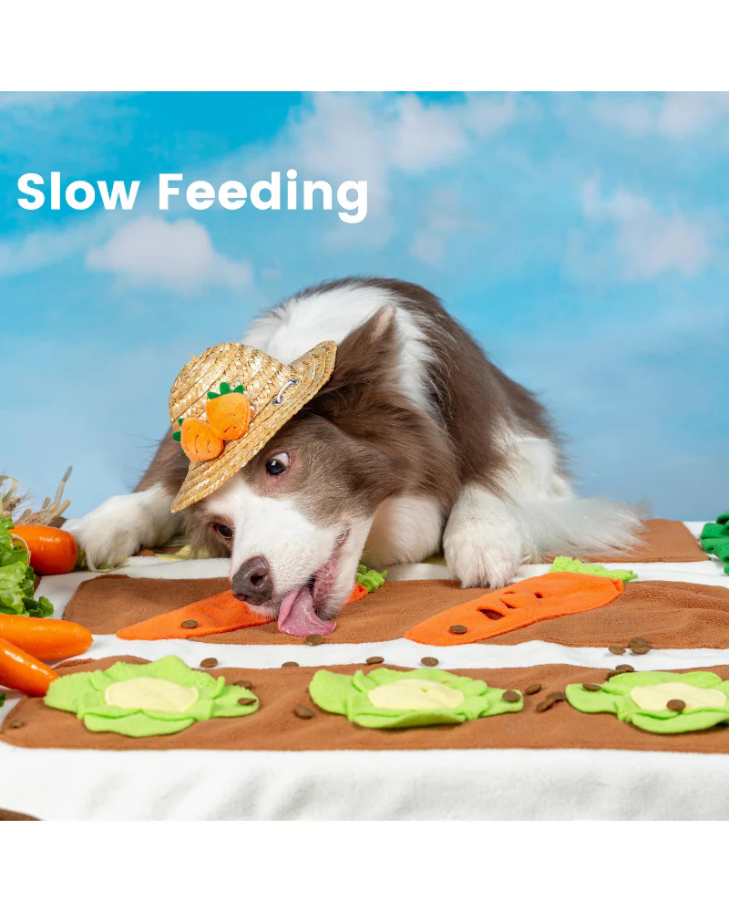 Spring Vegetable Garden Snuffle Dog Mat - Image 7