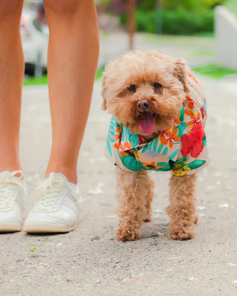 Island Time BBQ Dog Shirt (FINAL SALE) - Image 6