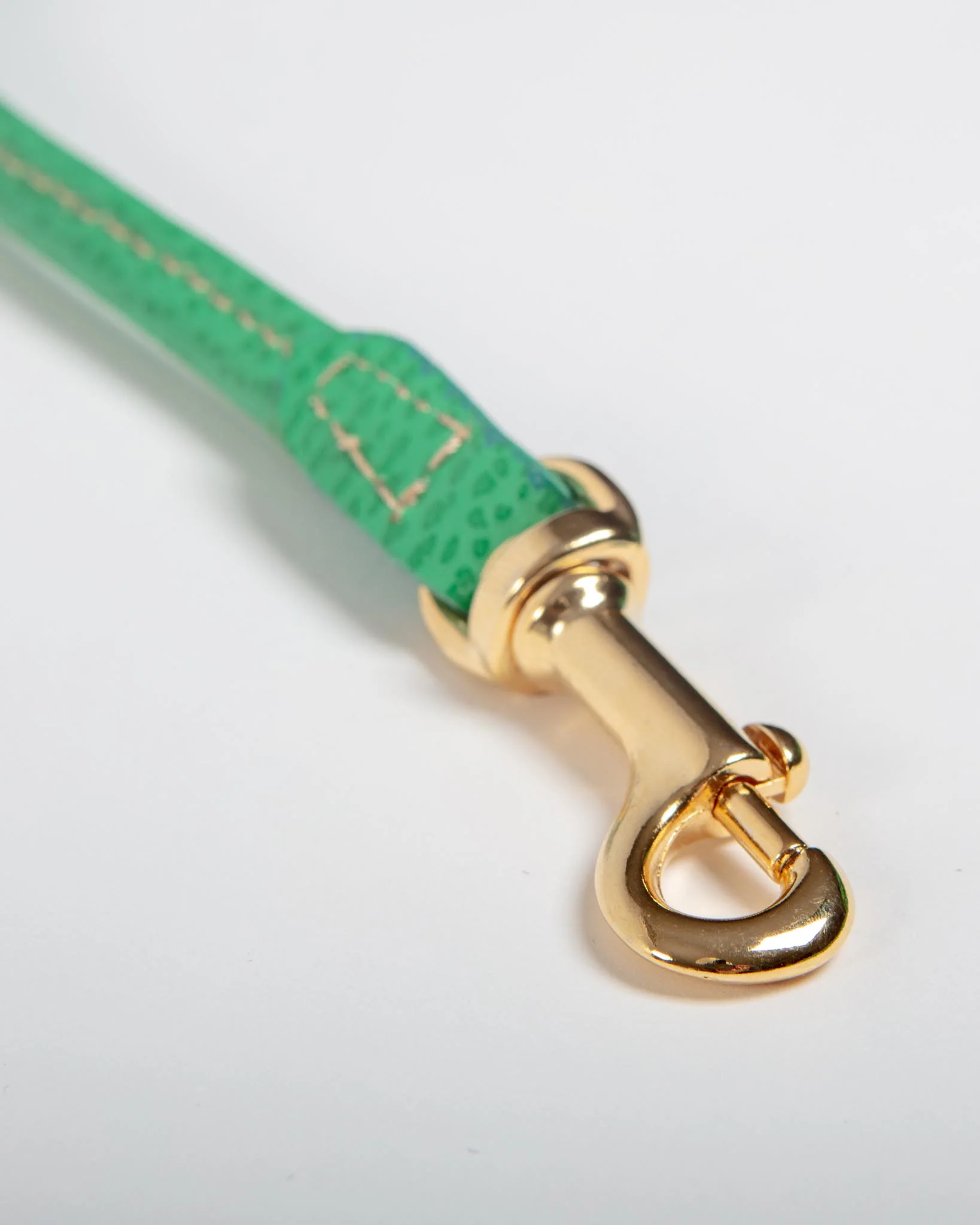 Italian Leather Dog Leash in Green - Image 4