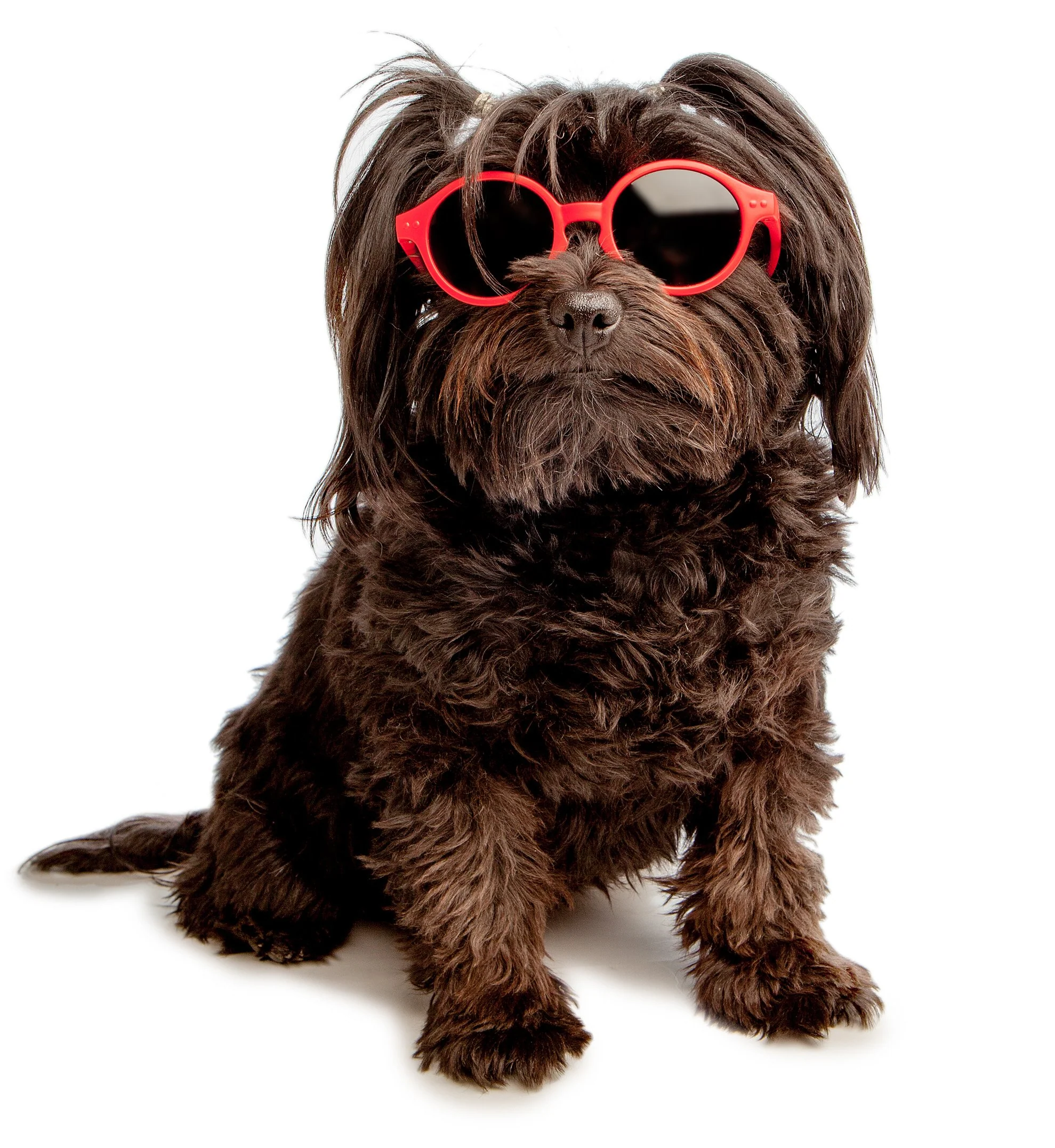 IZIPIZI | Sunglasses in Red