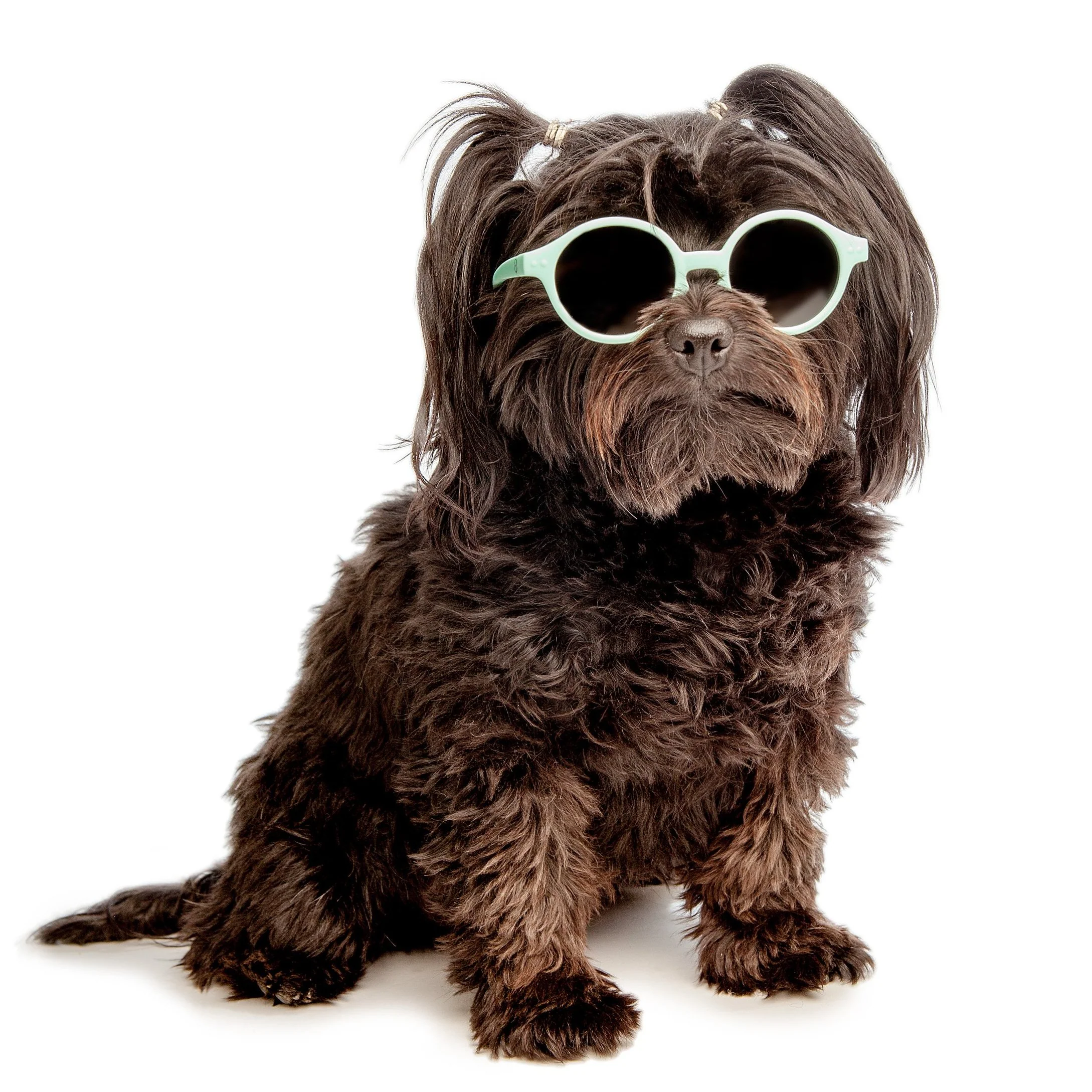 Baby Sunglasses in Sky Blue << FINAL SALE >> - Image 6
