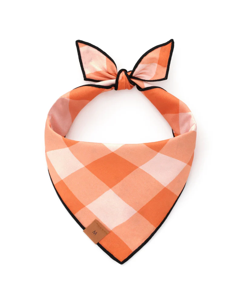 Jack-O-Lanterns Reversible Dog Bandana (Made in the USA) - Image 4