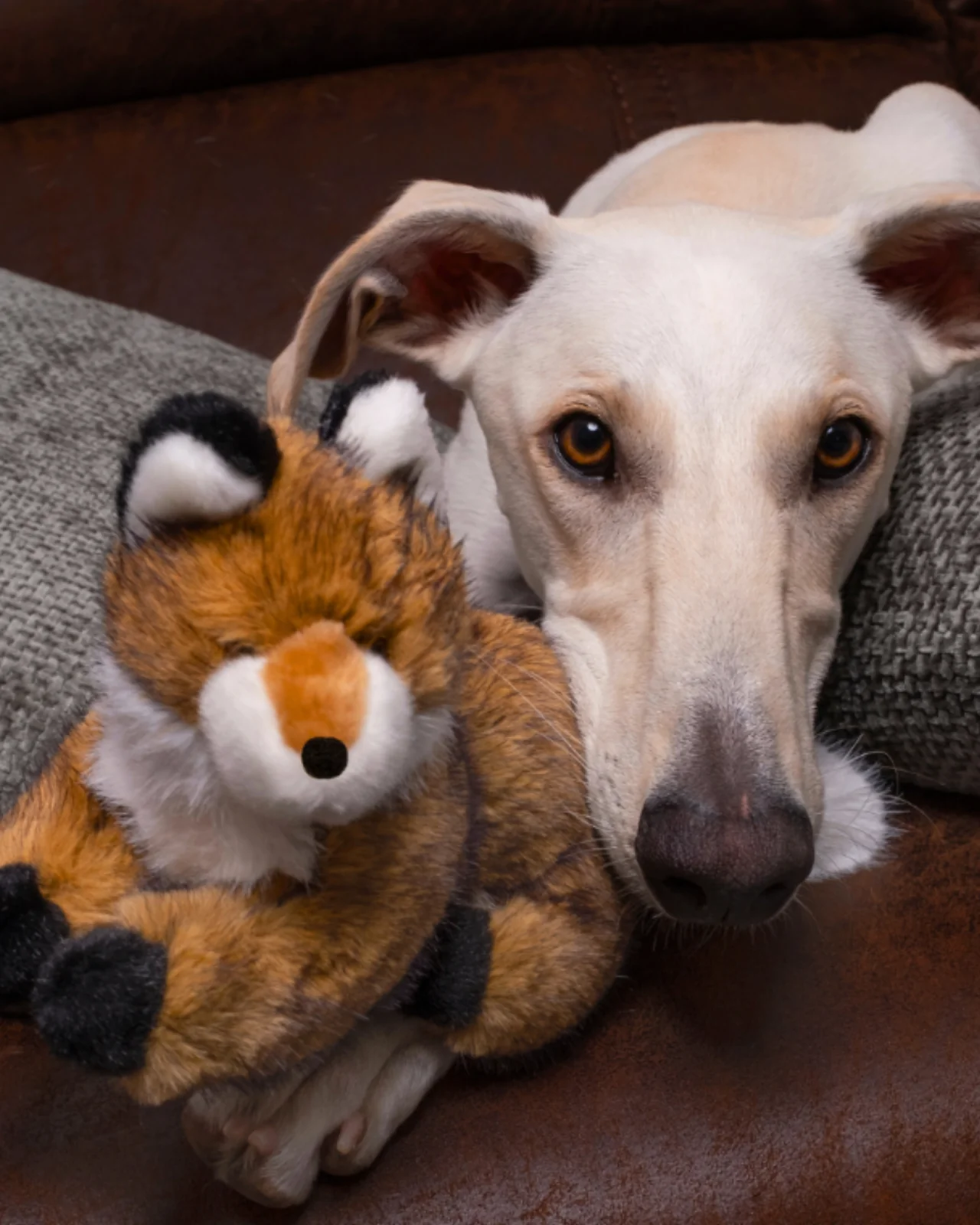 Jaspar Fox Squeakerless Plush Dog Toy - Image 3