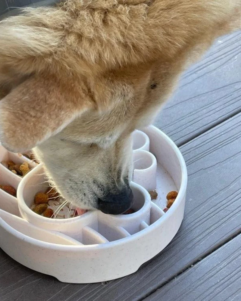 Java Slow Feeder Dog Bowl (Made in the USA) - Image 2