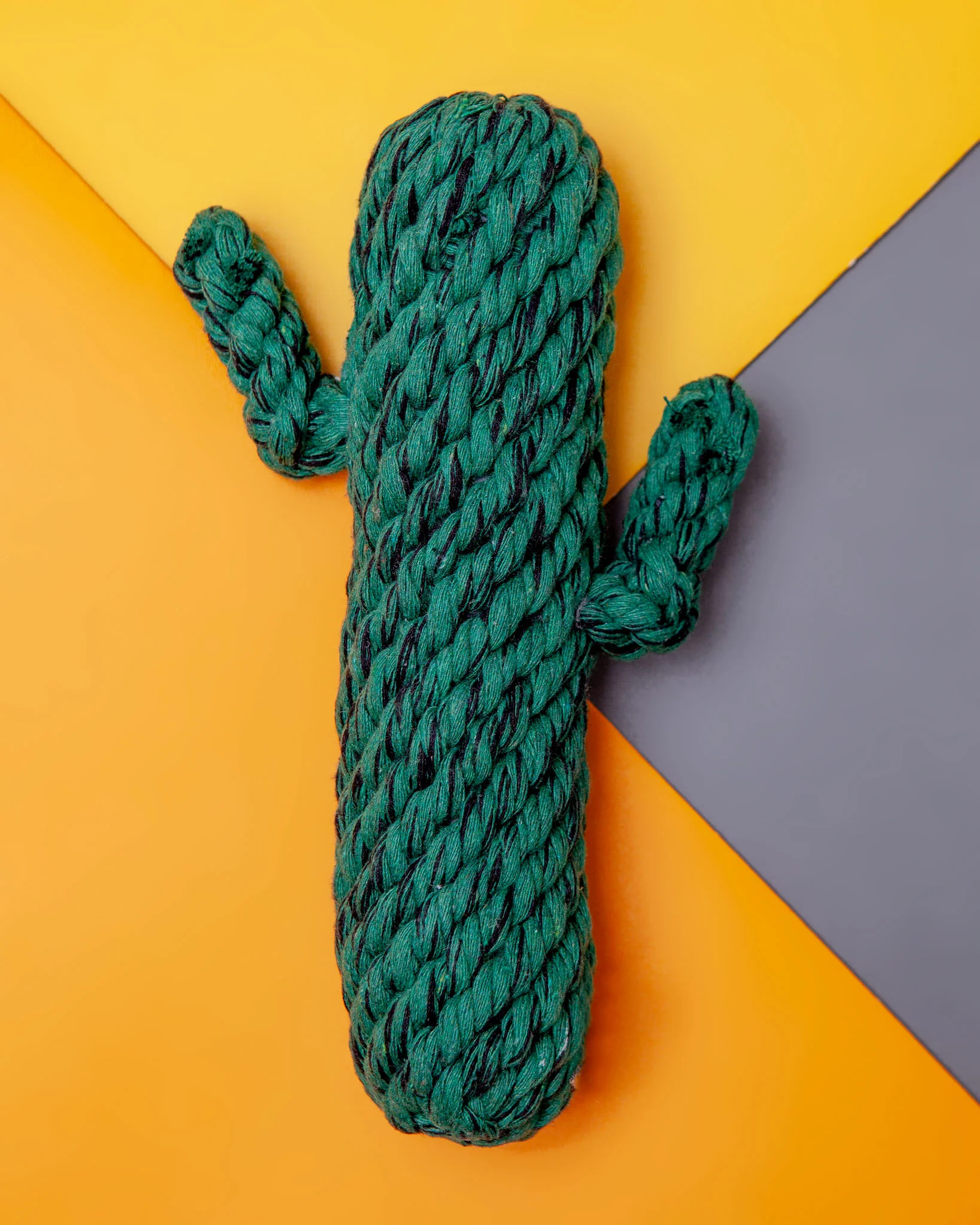 Cactus Rope Dog Toy