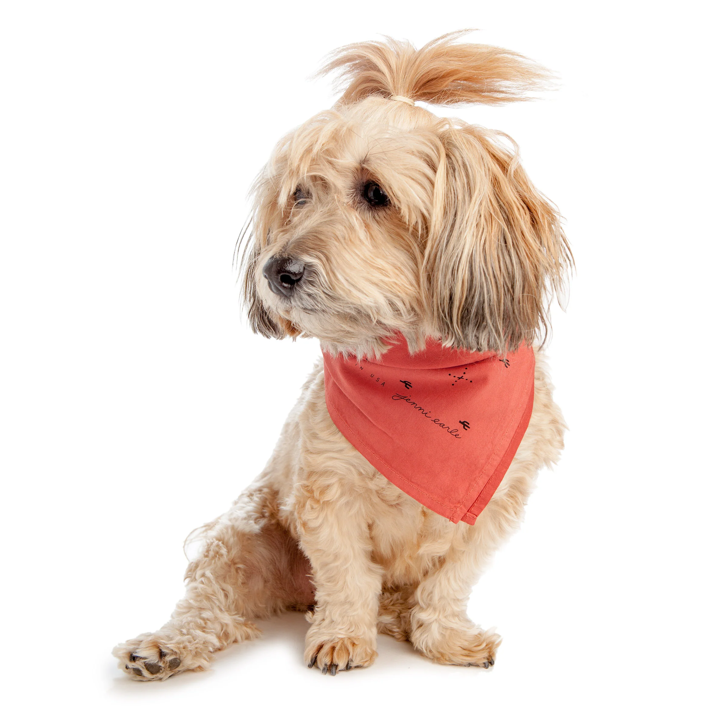 JENNI EARLE | Explore More Bandana - Image 6