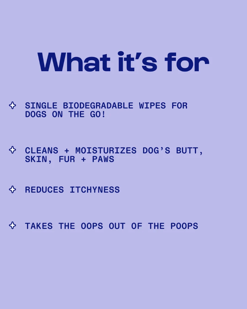 Jet Set Biodegradable Dog Wipes - Image 5