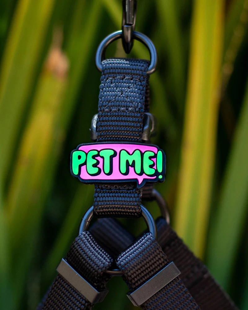 Jiby Silicone Slide On Pet Charms - Image 10