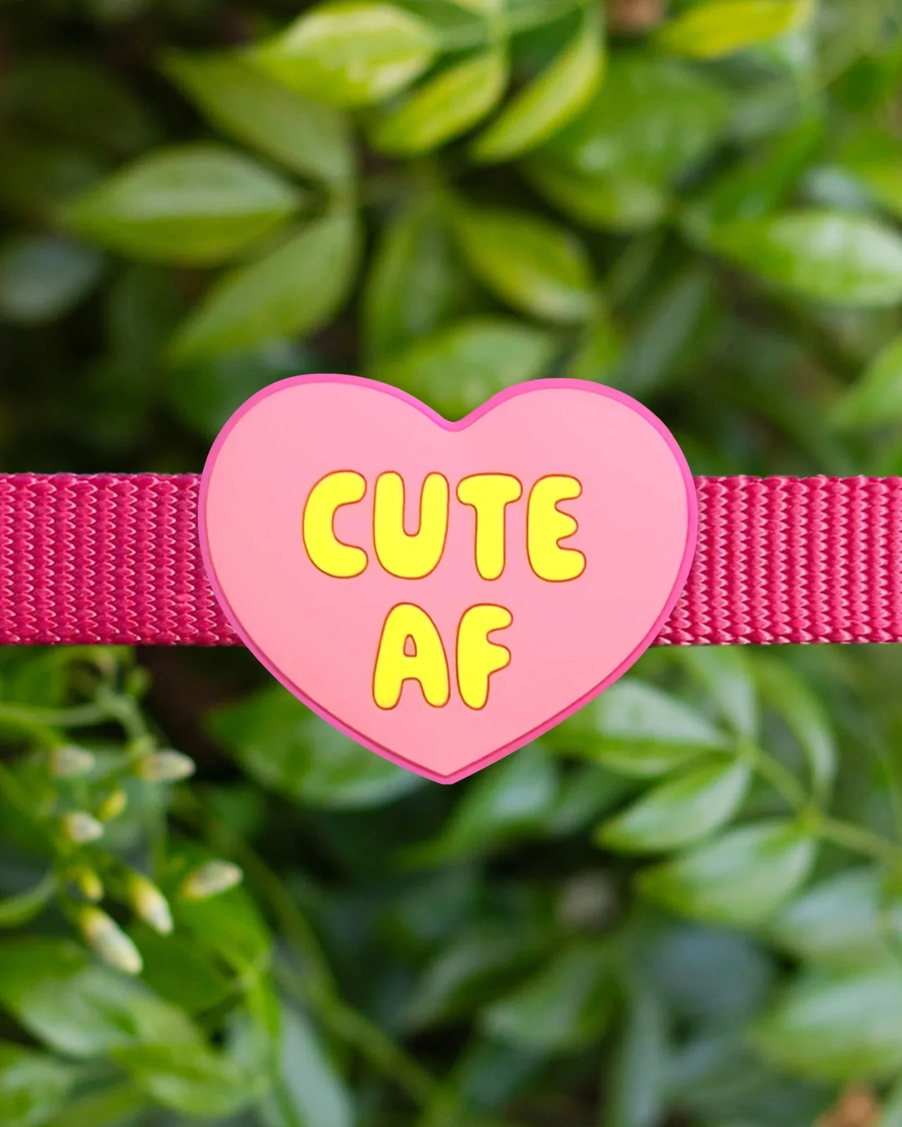 Jiby Silicone Slide On Pet Charms - Image 23