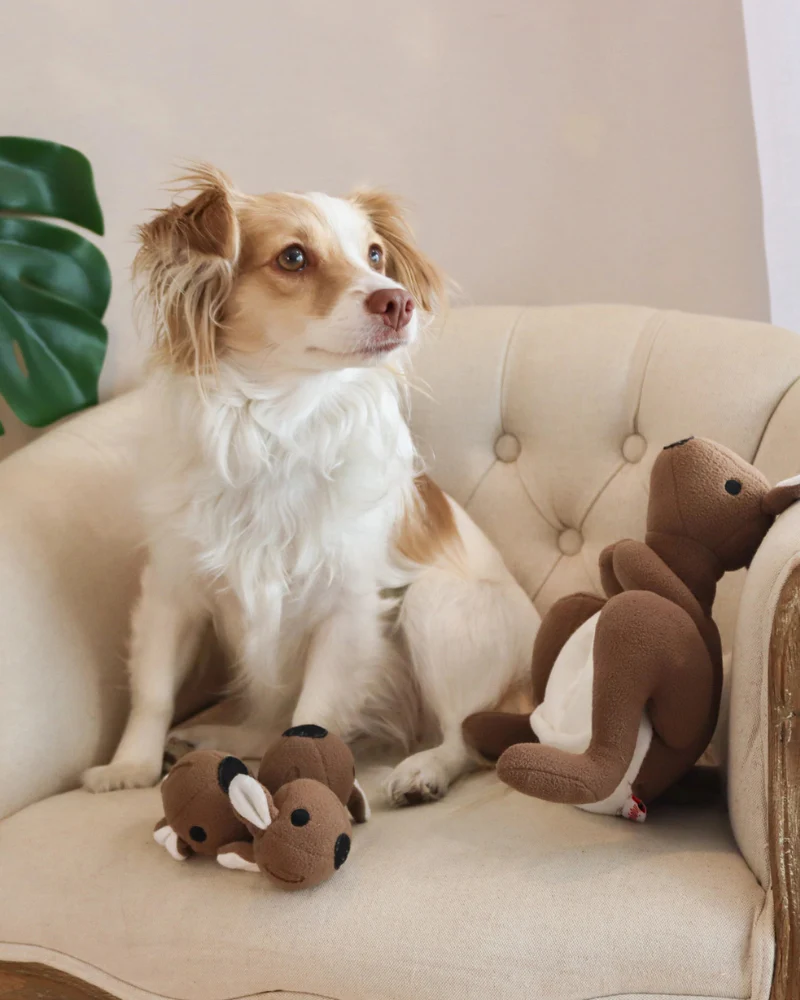 Joey Pouch Dog Snuffle Toy - Image 6