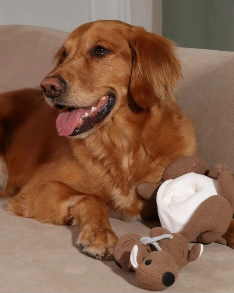 Joey Pouch Dog Snuffle Toy - Image 7
