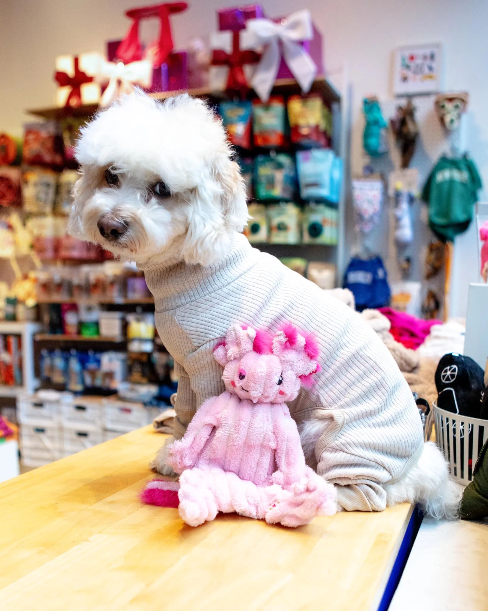 Kiki & Gillie Axolotl X-Brace™ Tough Dog Toys - Image 4