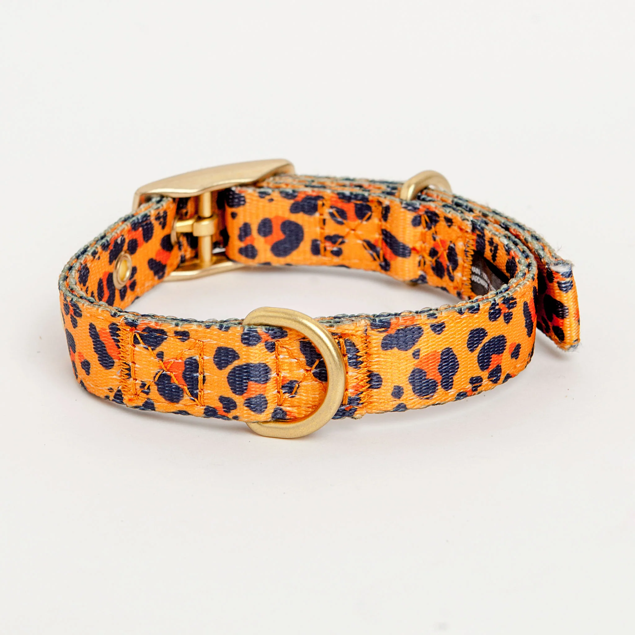 Tarzan Dog Collar - Image 3