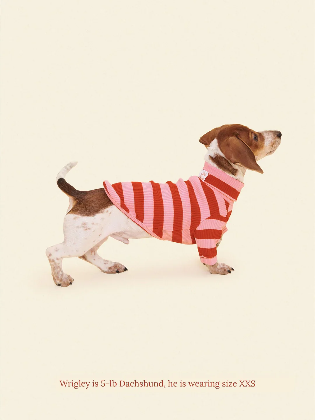 Kiss Me Ribbed Dog Shirt (FINAL SALE) - Image 4