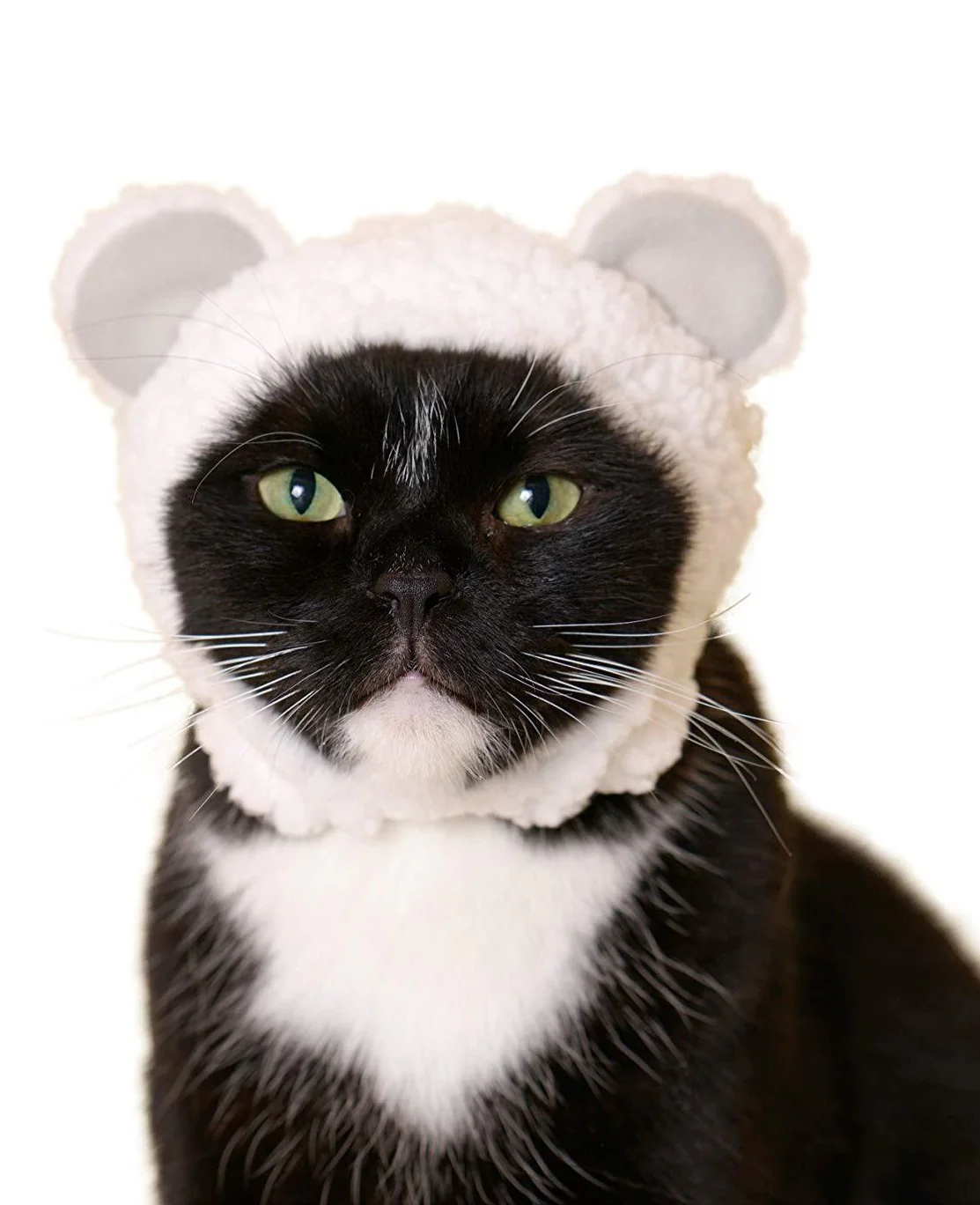 Bear Cap for Cats (Surprise Box)